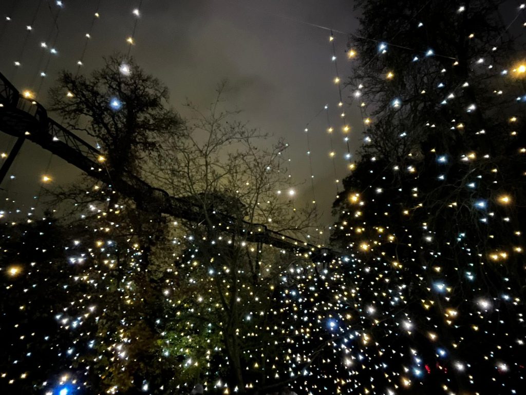 Luces de Navidad en Christmas at Kew