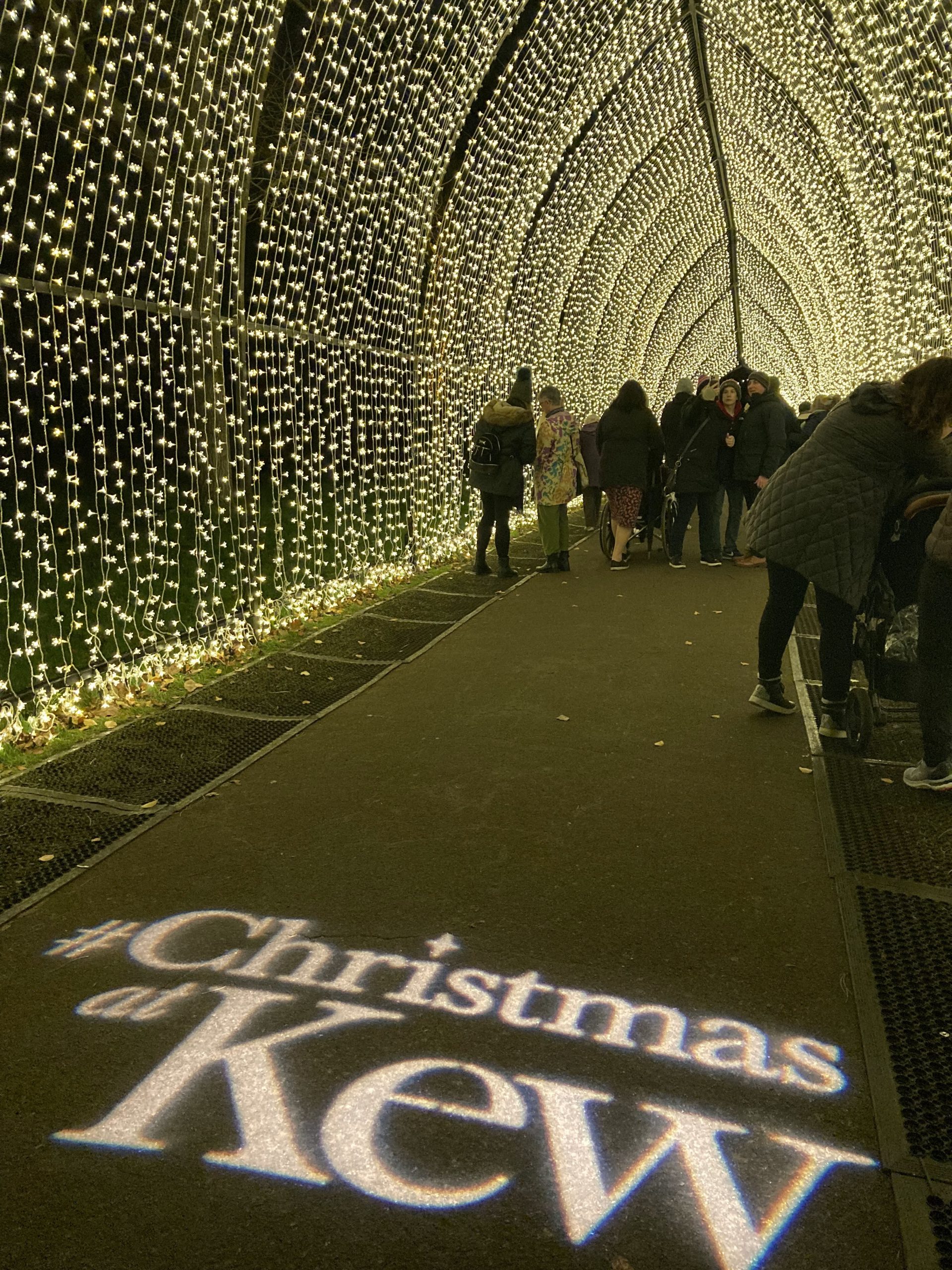 Luces de Navidad en Kew Gardens: Un Espectáculo Mágico que No Puedes Perderte en Londres