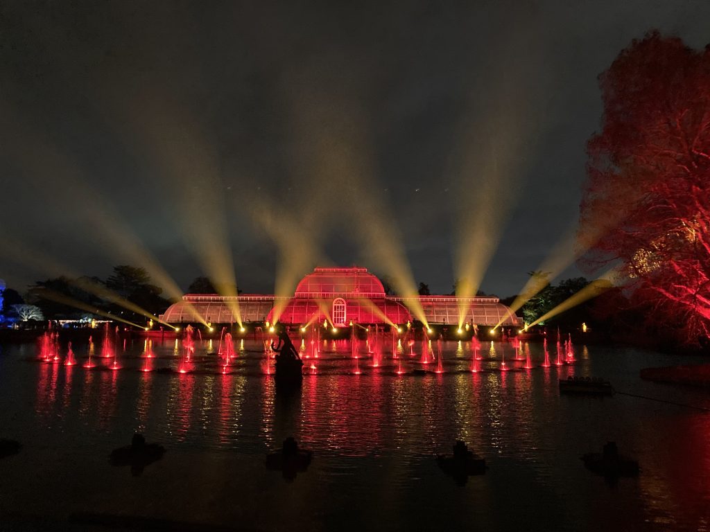 Espectáculo de luz en Palm House