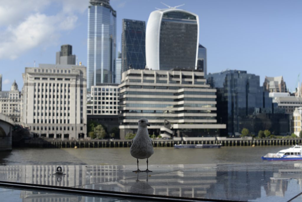 Edificio "Walkie Talkie" donde se encuentra el mirador Sky Garden